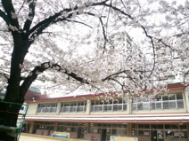 常盤幼稚園