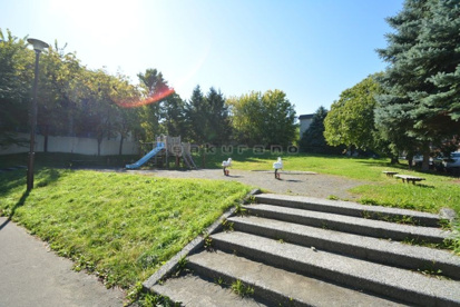 手稲ちびっこ公園 の画像1
