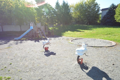 手稲ちびっこ公園 の画像3