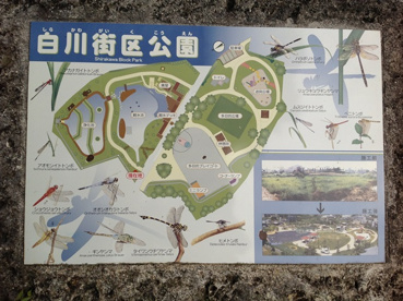白川街区公園の画像1