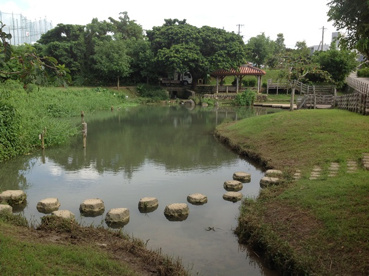 白川街区公園の画像2