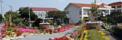 宜野座村立 漢那小学校の画像2