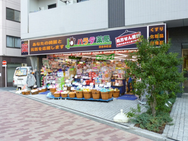 ハラダ薬局渋谷本町店の画像1