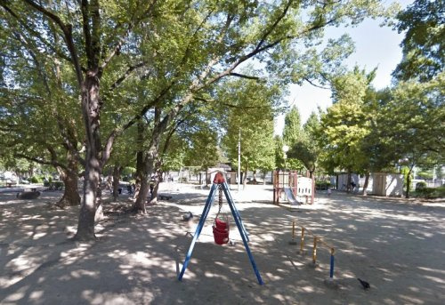 の画像