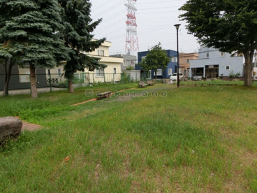 新発寒こうし公園 の画像2