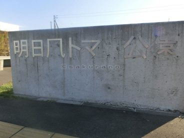 明日風　トマト公園の画像1
