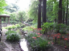 公園 羅漢寺川緑道
