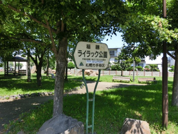 稲穂 ライラック公園の画像1