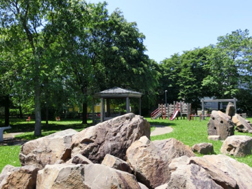 稲穂 ライラック公園の画像2