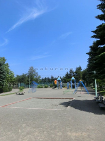 稲穂公園の画像1