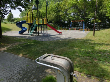 稲穂 海星公園の画像2
