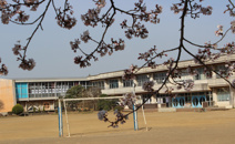 龍ケ崎市立 松葉小学校