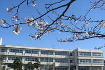 龍ケ崎市立 川原代小学校