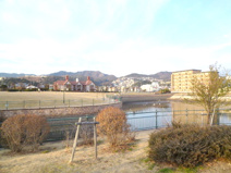 山本新池公園
