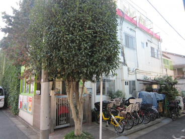 風の子保育園の画像2
