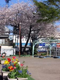 新河岸保育園の画像1
