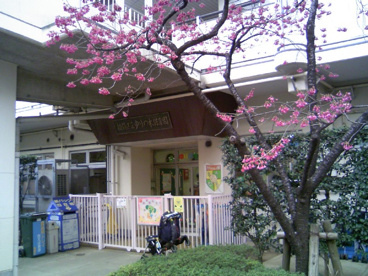 ゆりの木保育園の画像1