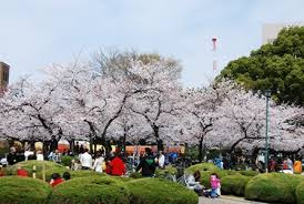 鶴舞公園の画像1