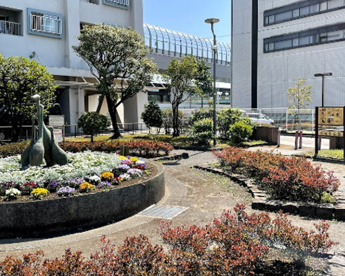 敬老公園の画像1
