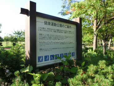 星置公園の画像1