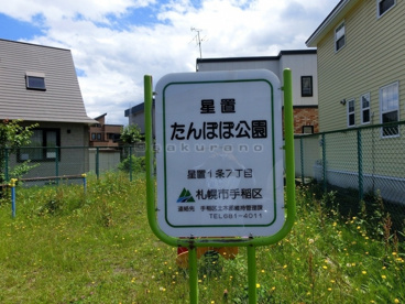 星置 たんぽぽ公園の画像2