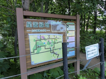 星置緑地の画像3