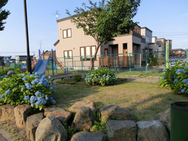 星置 のびのび公園の画像2