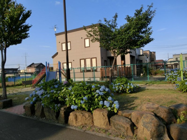 星置 のびのび公園の画像3