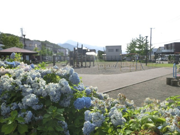 星置　わんぱく公園の画像3