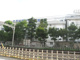 北小岩小学校の画像