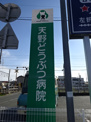 天野どうぶつ病院