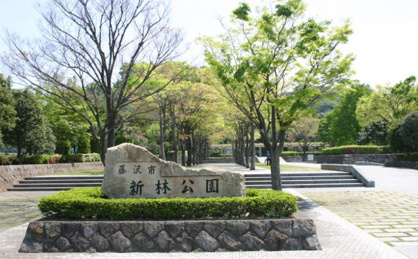 藤沢市新林公園の画像1