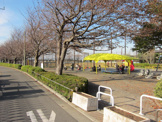 東俣野中央公園