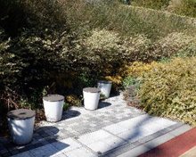 公園 南青山二丁目第二緑地