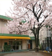 渋谷区立富ヶ谷保育園