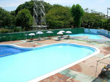      玉川野毛町公園屋外プール