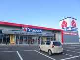 ヤマダ電機テックランド大網白里店