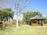 清水谷公園