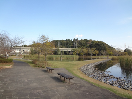 大百池公園