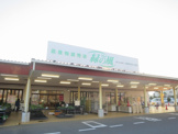 山武緑の風大網店