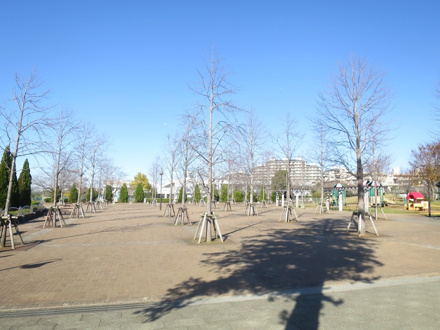 みずのえ公園
