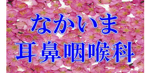 Ｎあかいま耳鼻咽喉科の画像1