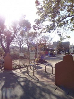 菰池公園
