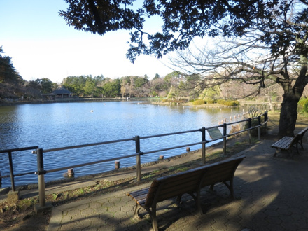 千葉公園