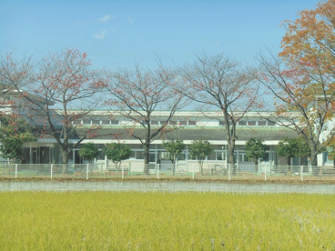 せんげん台あゆみ幼稚園の画像1