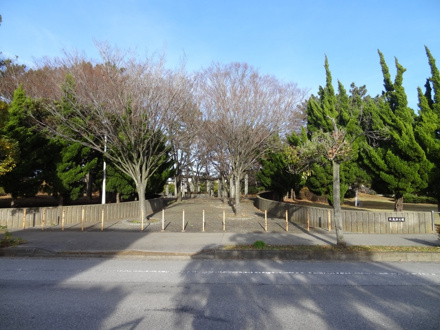 北高浜公園