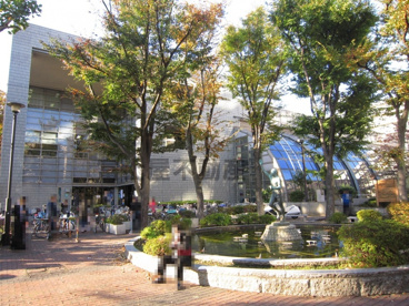 東板橋体育館の画像2
