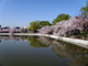 万代池公園の画像