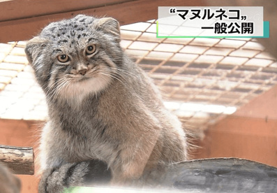埼玉県こども動物自然公園の画像1