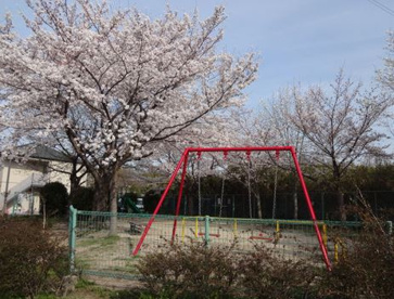 中振中央公園の画像1